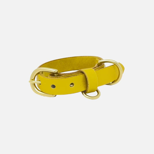 Last State Leather - Small Leather Collar - Mustard/Brass