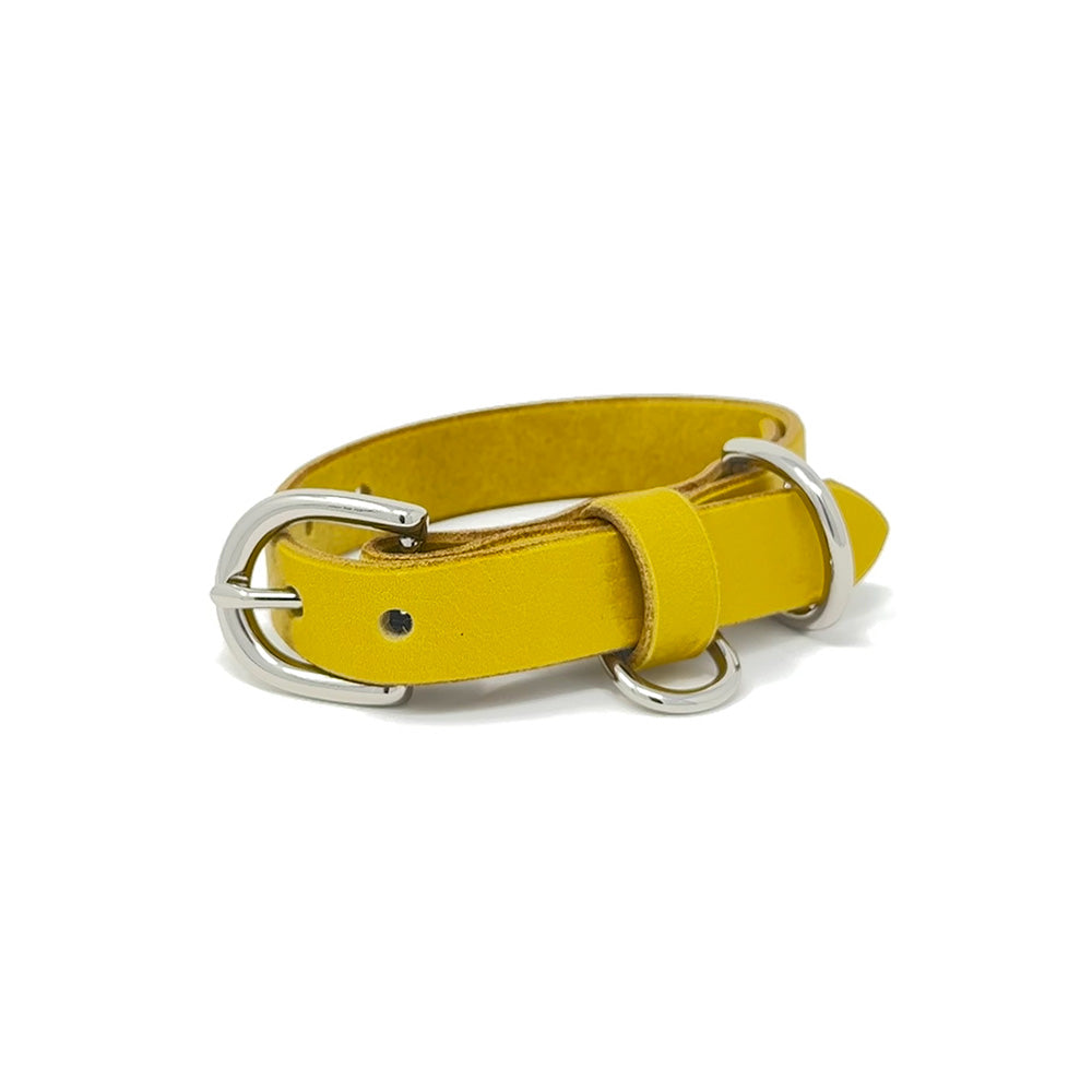 Last State Leather - Small Leather Collar - Mustard/Nickel