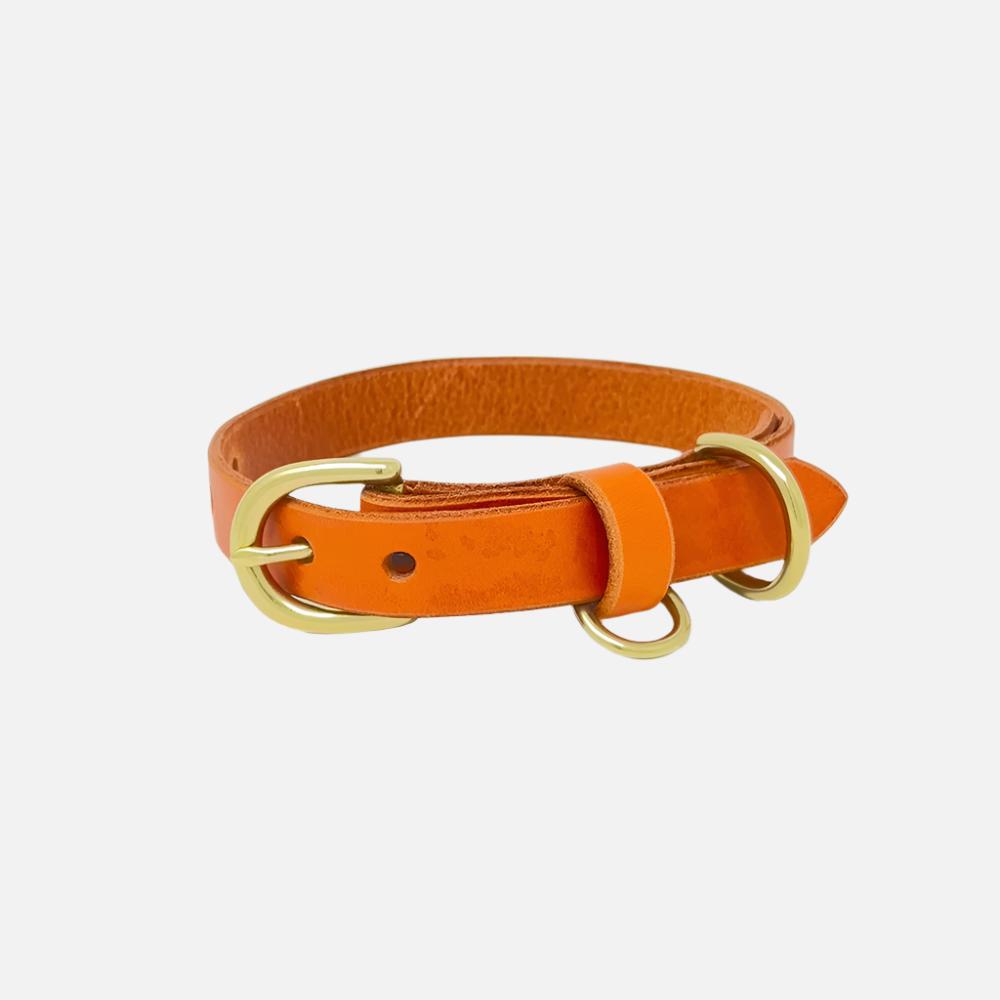 Last State Leather - Small Leather Collar - Orange/Brass