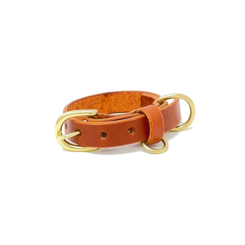 Last State Leather - X Small Leather Collar - Chestnut/Brass