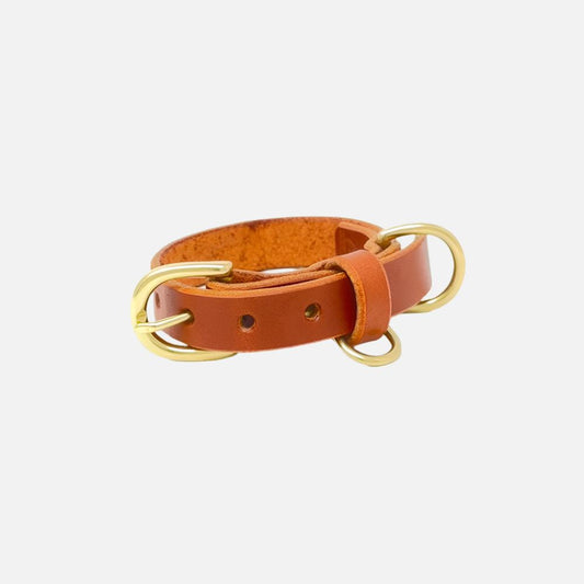 Last State Leather - X Small Leather Collar - Chestnut/Brass