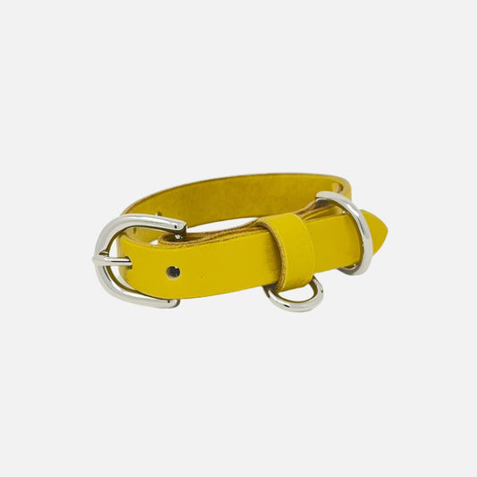 Last State Leather - X Small Leather Collar - Mustard/Nickel