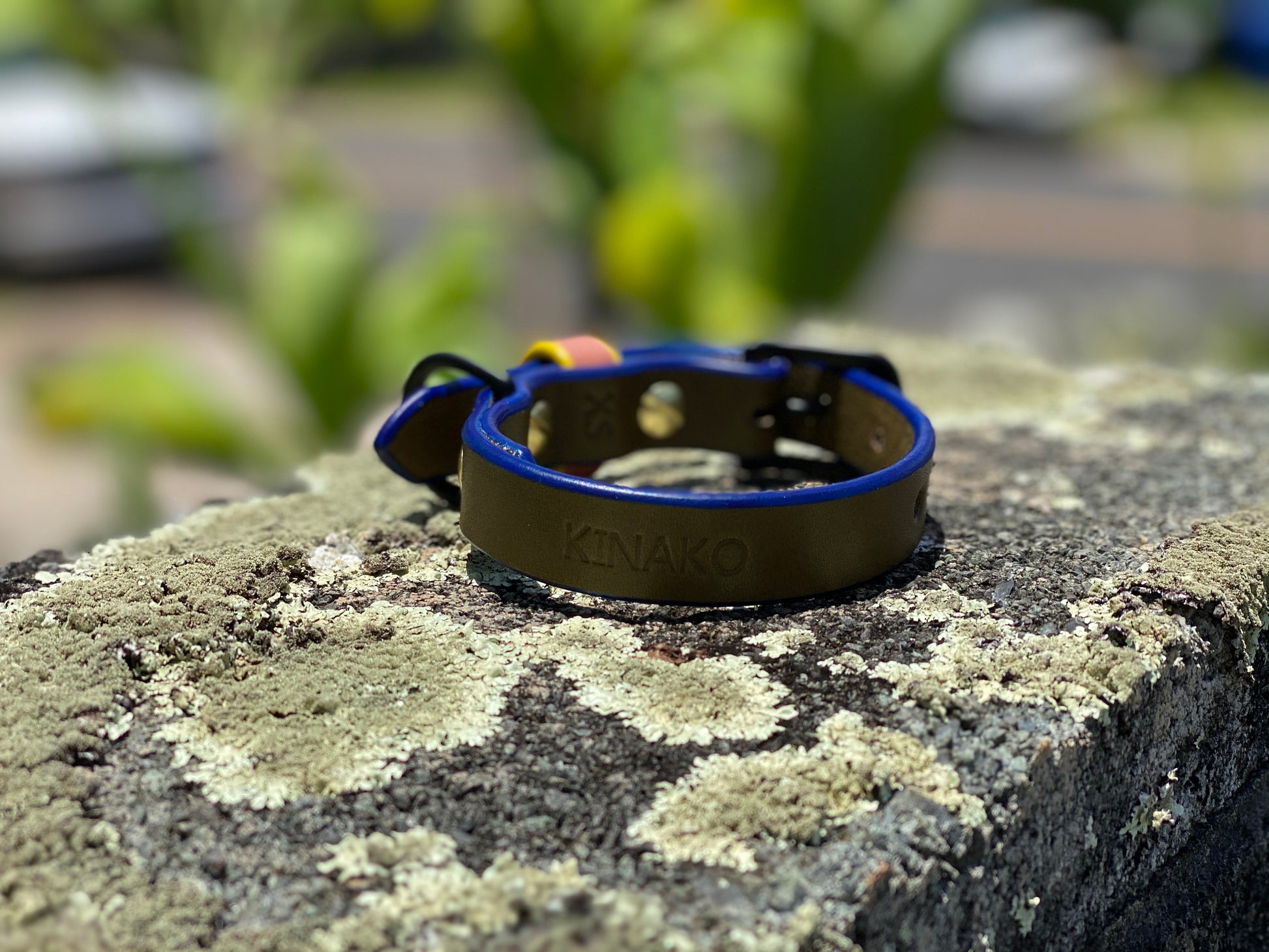 Last State Leather - Custom Order - XS Leather Dog Collar - Monogram