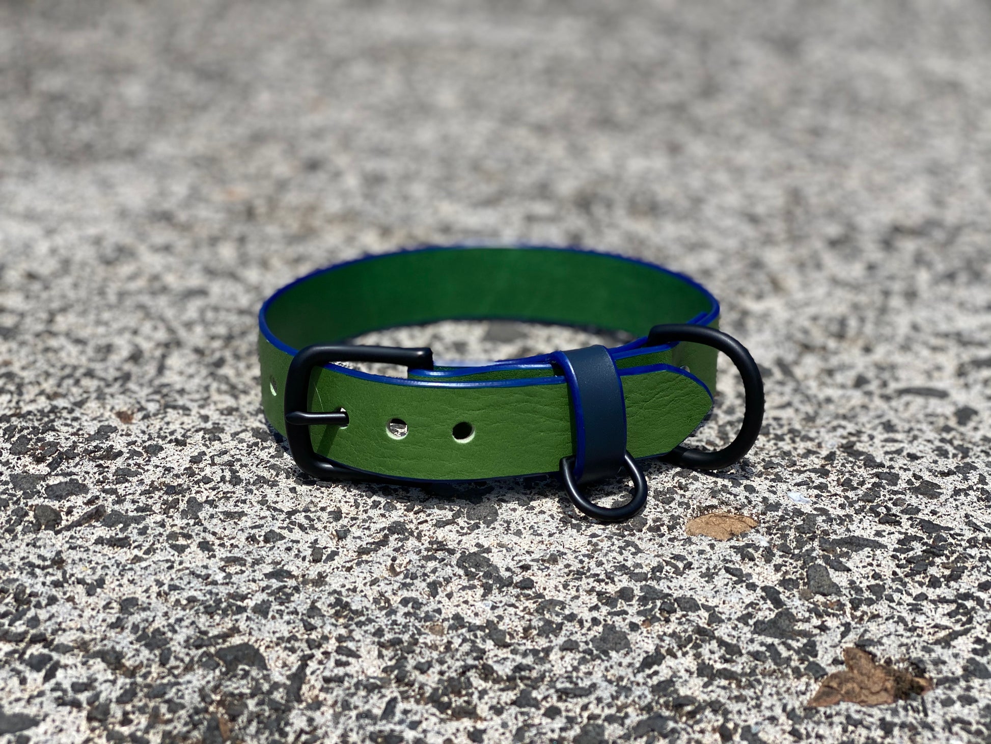 Last State Leather - Custom Order - Large Leather Dog Collar