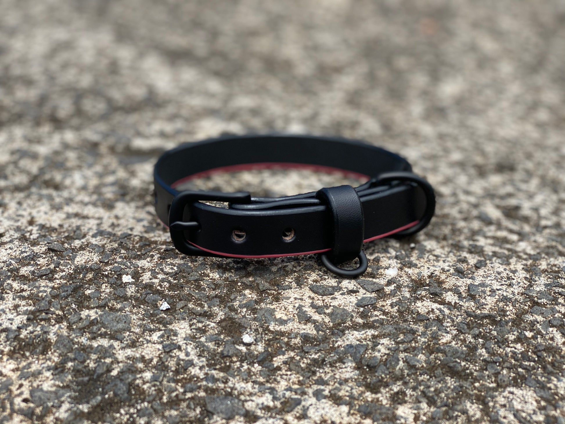 Last State Leather - Dog Collar - XS