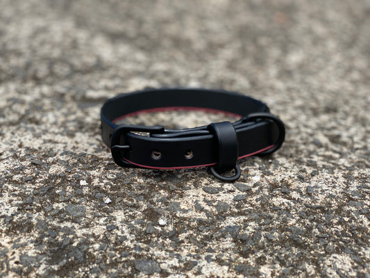 Last State Leather - Dog Collar - XS