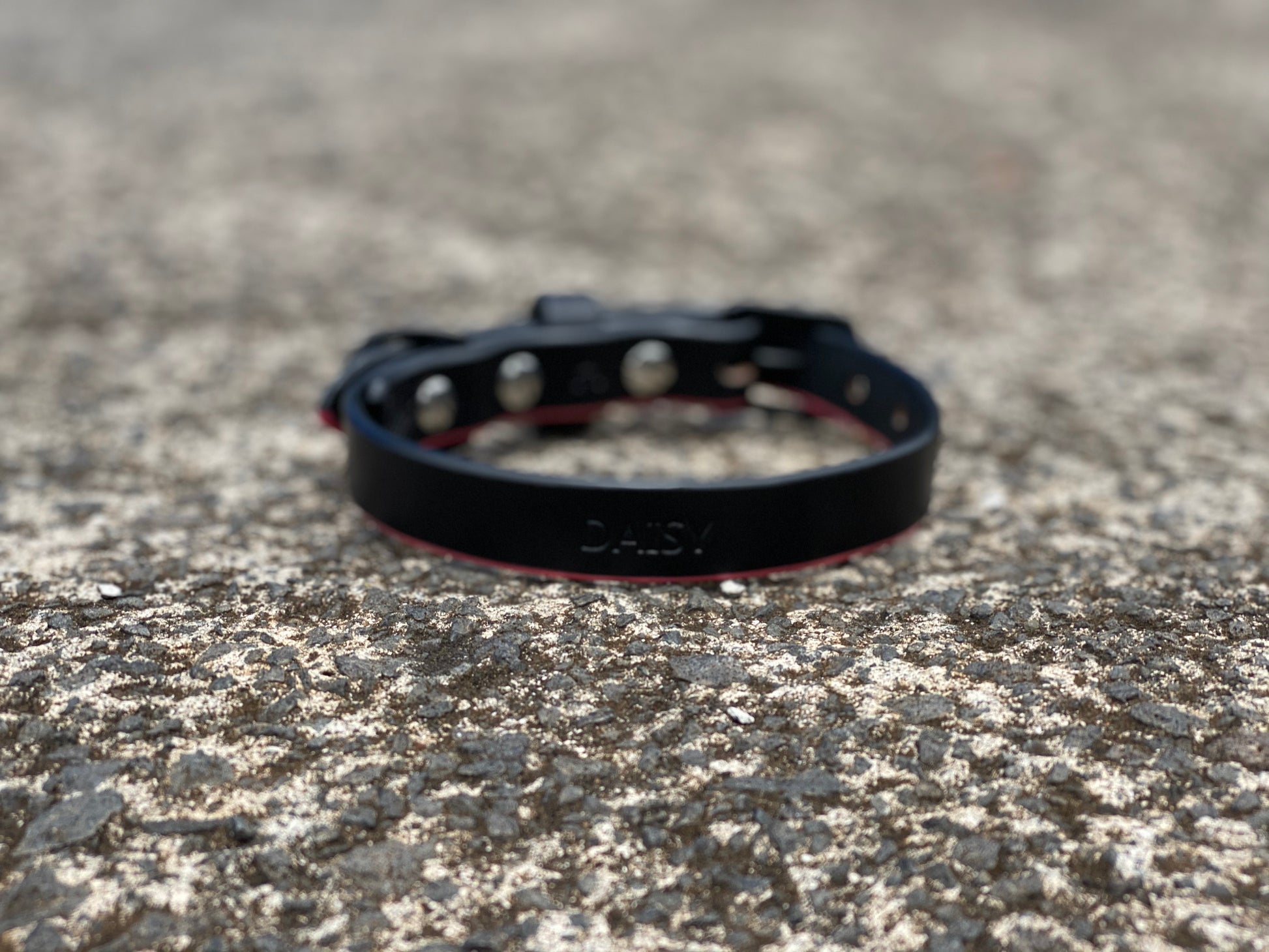 Last State Leather - Dog Collar - XS