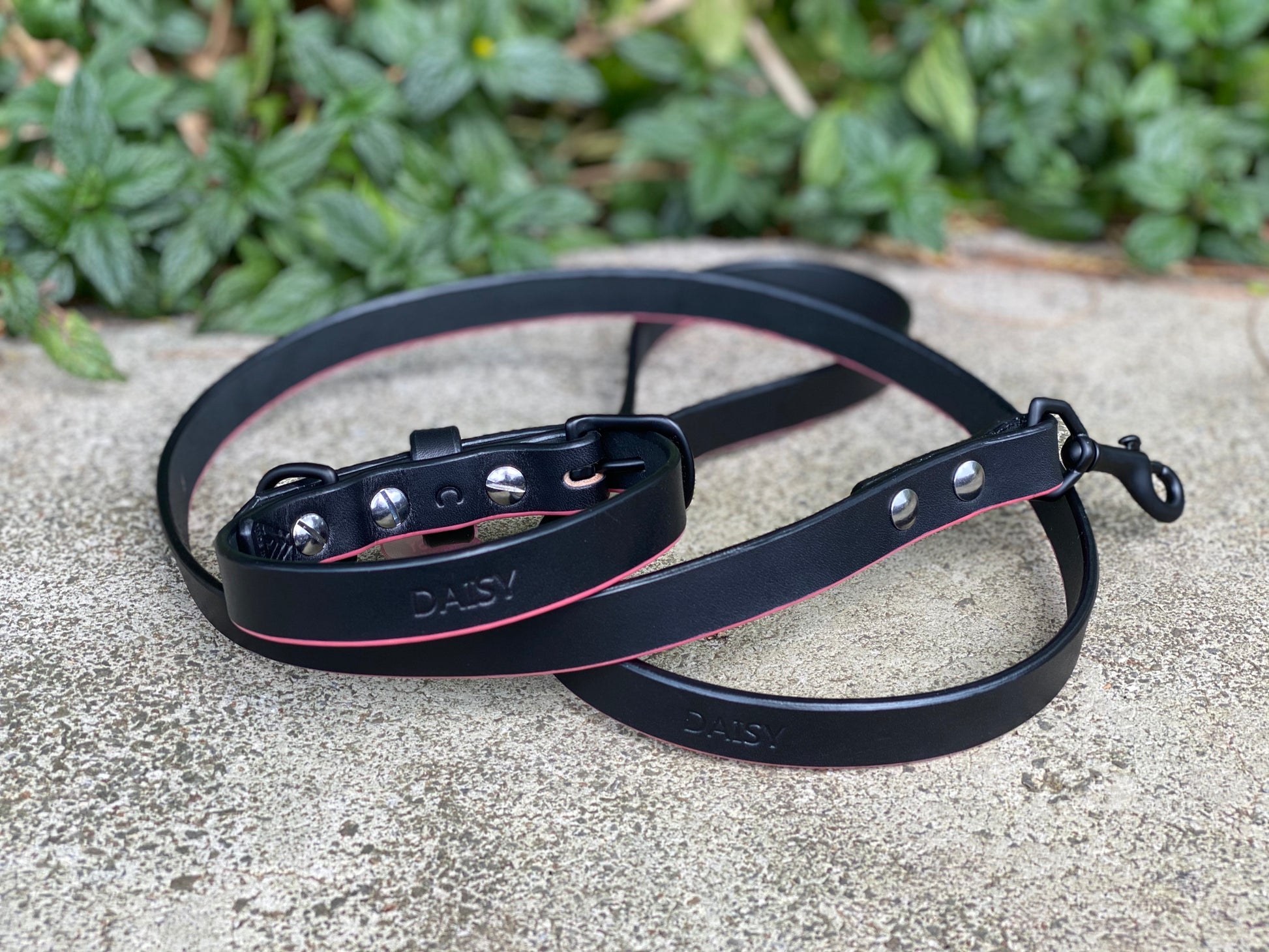 Last State Leather - Custom Leash