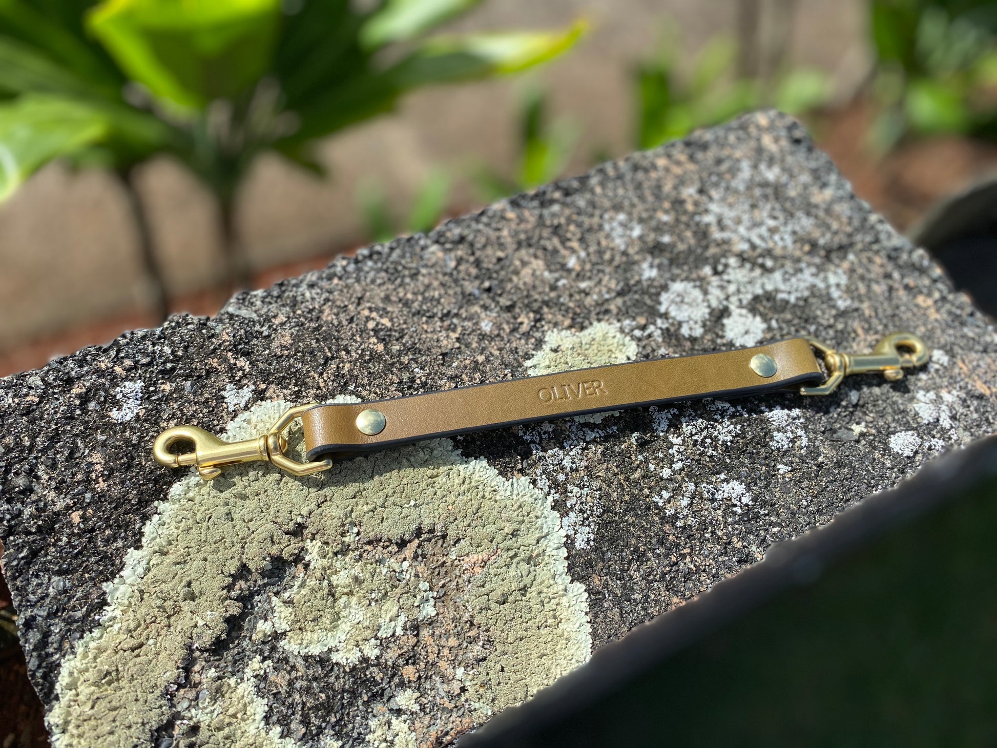 Last State Leather - Custom - Harness Leash 12" Olive/Black/Brass