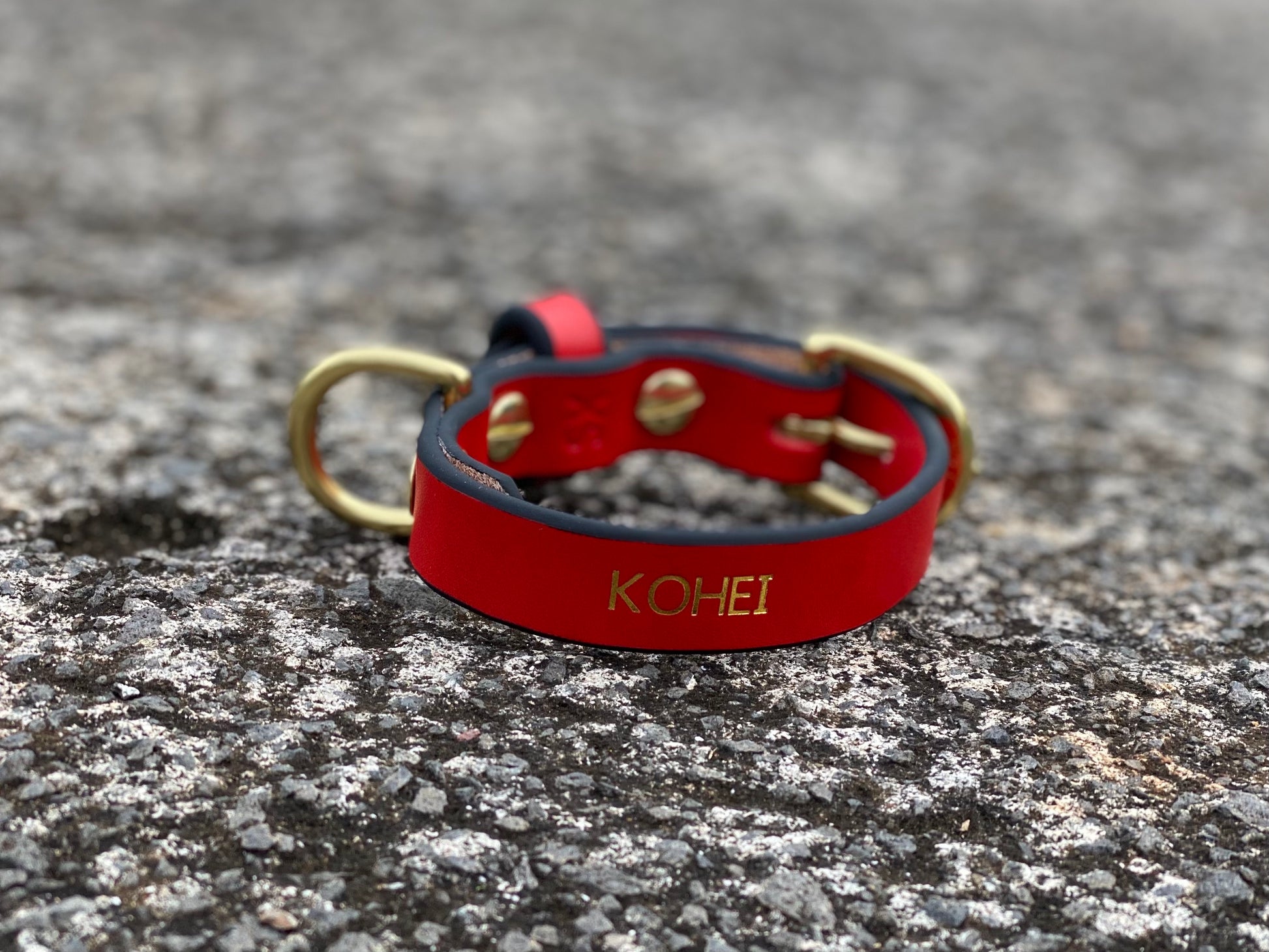 Last State Leather - XS Collar - Red/Black with Brass Hardware